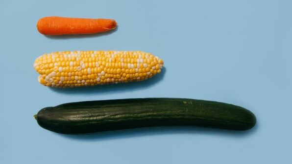 以蔬菜为例的男性成员的不同尺寸